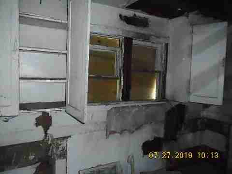 16737 Dolphin (38)_m.jpg